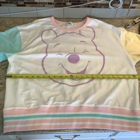 Disney Winnie the Pooh Pastel Sweatshirt Size XL - Picture 5 of 9